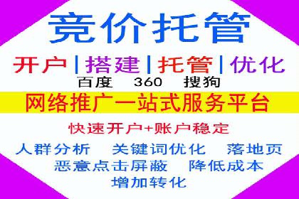 某某SEM团队成功案例：广告投放策略揭秘